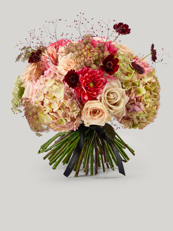 Cosmos Bouquet