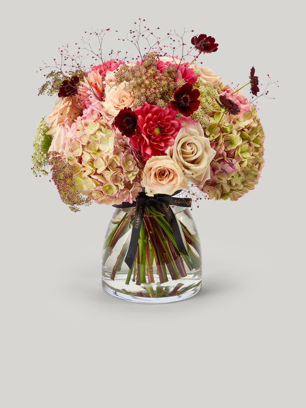 Cosmos Bouquet