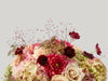 Cosmos Bouquet